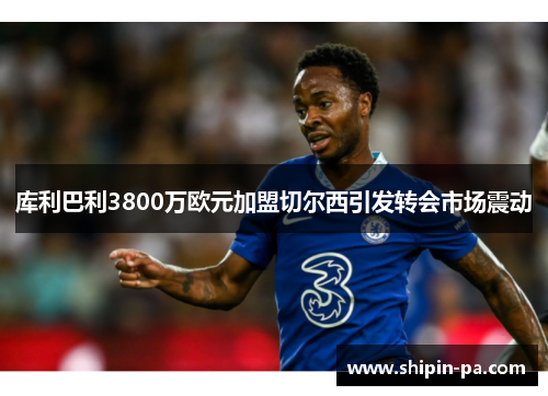 库利巴利3800万欧元加盟切尔西引发转会市场震动